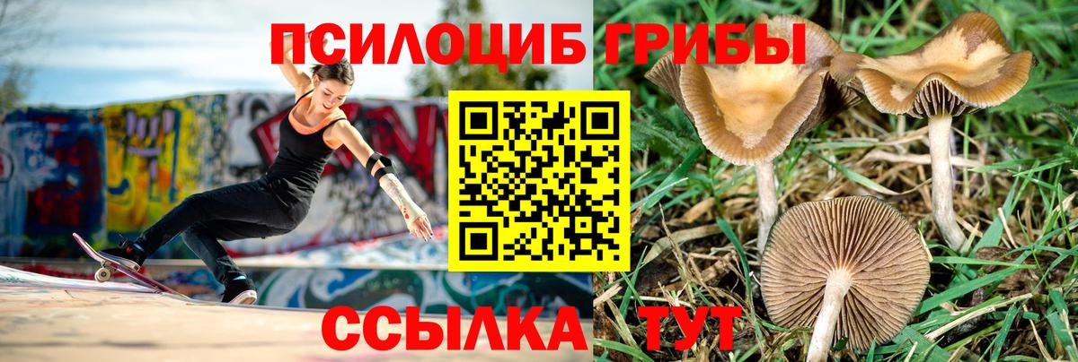 Галлюциногенные грибы ЛСД Лесосибирск